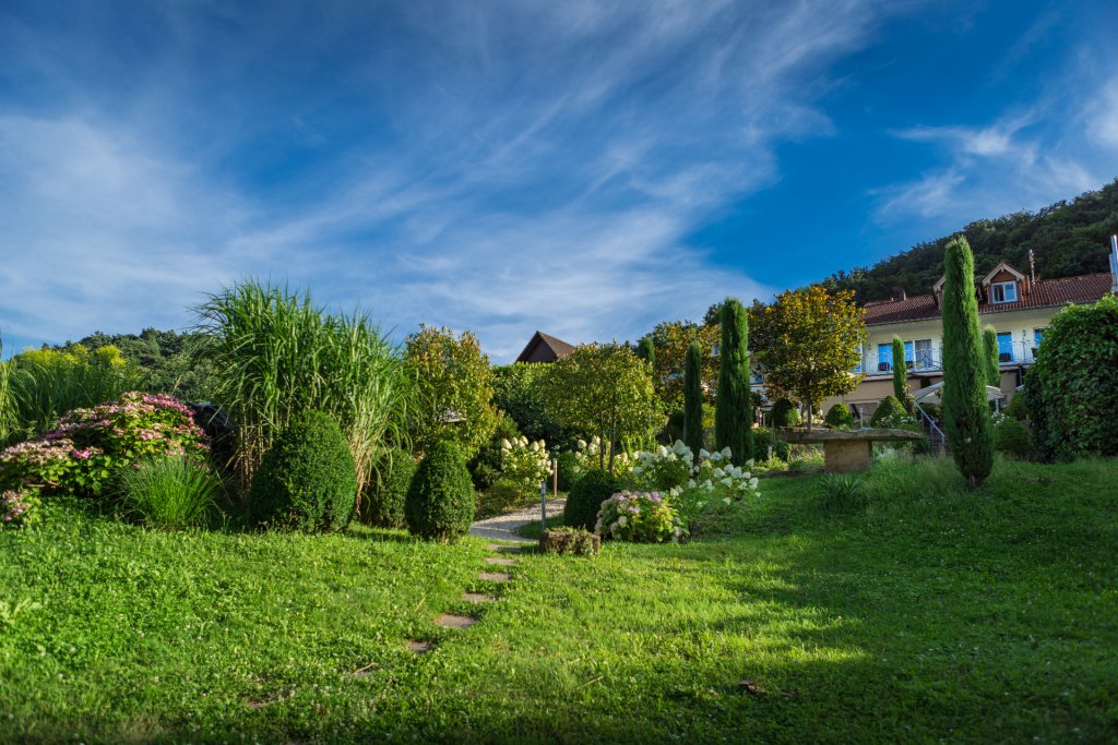 Hotel Pfalz Sterne Hotel Pfalz Sterne