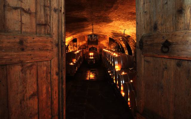 Weingut in der Pfalz